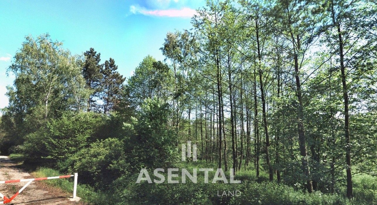Ostatní, Stonava