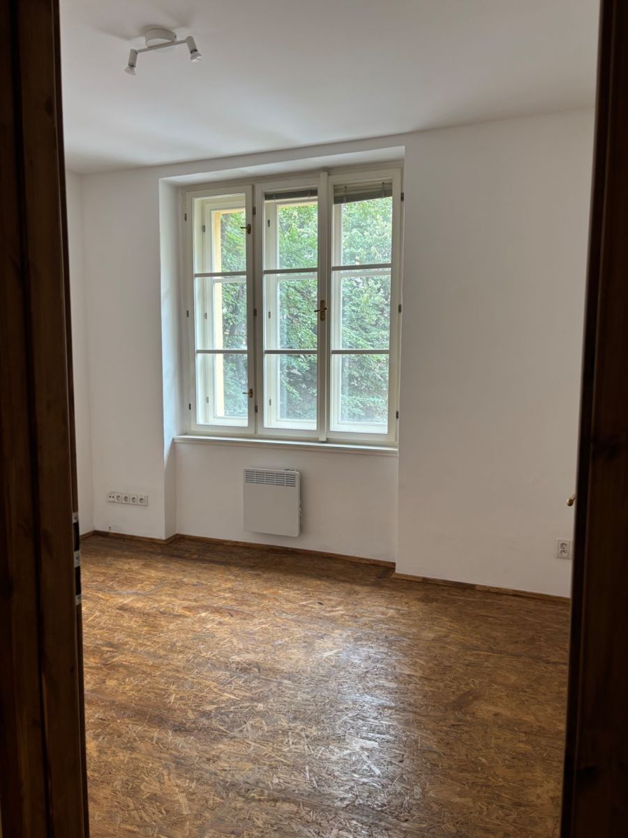 2+1, Žerotínova, Praha - Žižkov, 45 m² - 1
