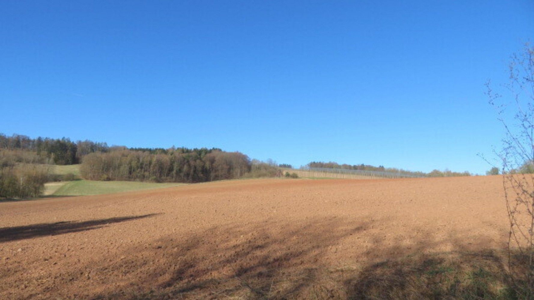 Prodej zemědělský pozemek - Rakovník, Středočeský kraj - 1