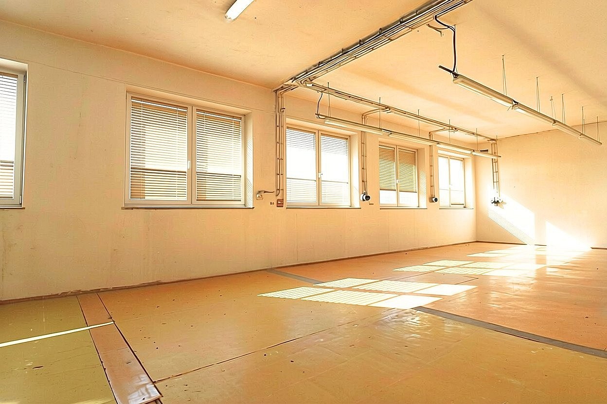 Výrobní prostory · 300 m² · Bohunická, Brno - Horní Heršpice - 3