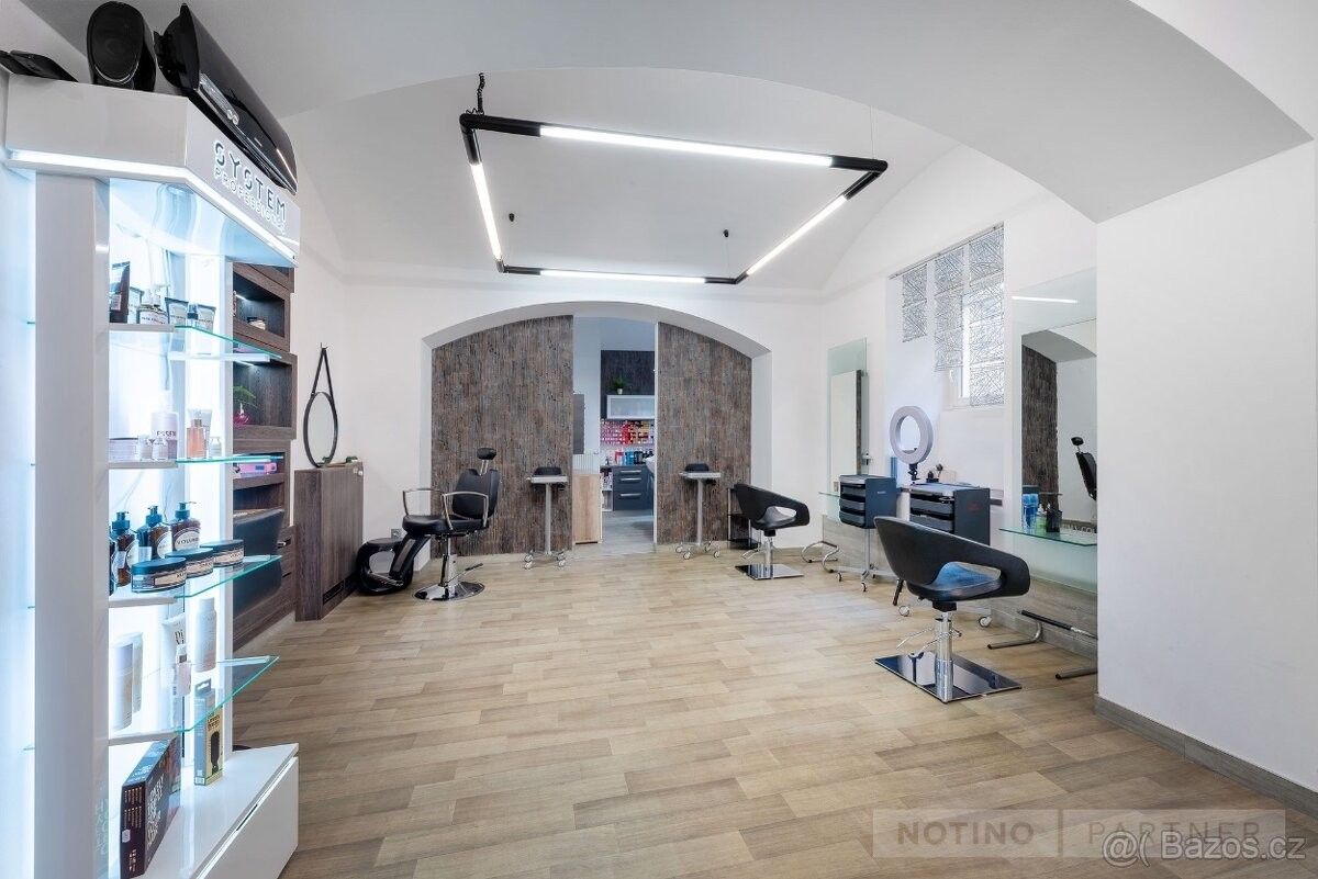 Pronájem ostatní - Praha, 170 00