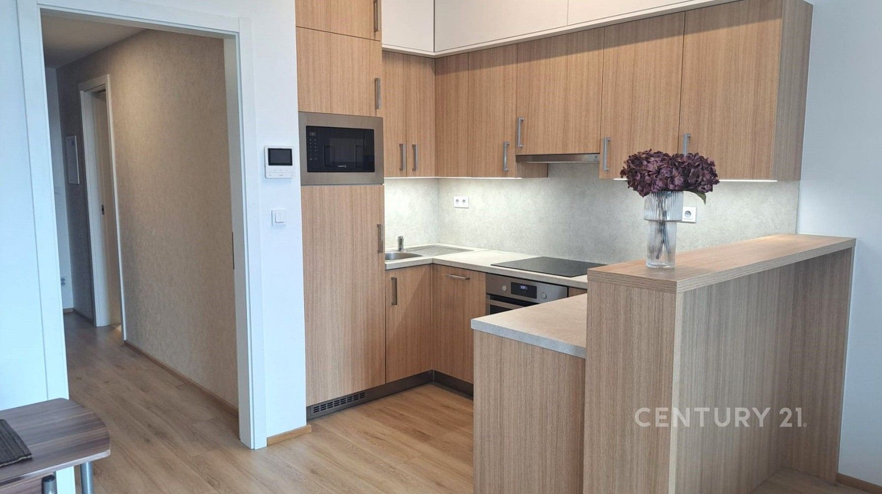 1+kk, Znojmo, Jihomoravský kraj, 32 m² - 1