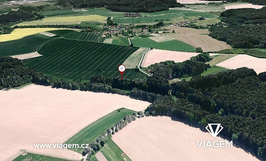 Prodej zemědělský pozemek - Snět, okres Benešov, Středočeský kraj - 2