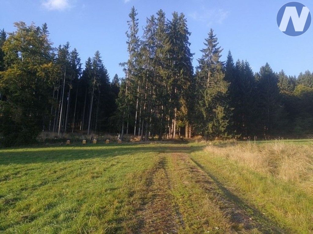 Pozemek · 14 303 m² · Želnava - 4