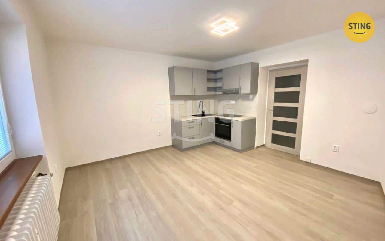 1+kk, Na Rybníčku, Opava, 25 m²