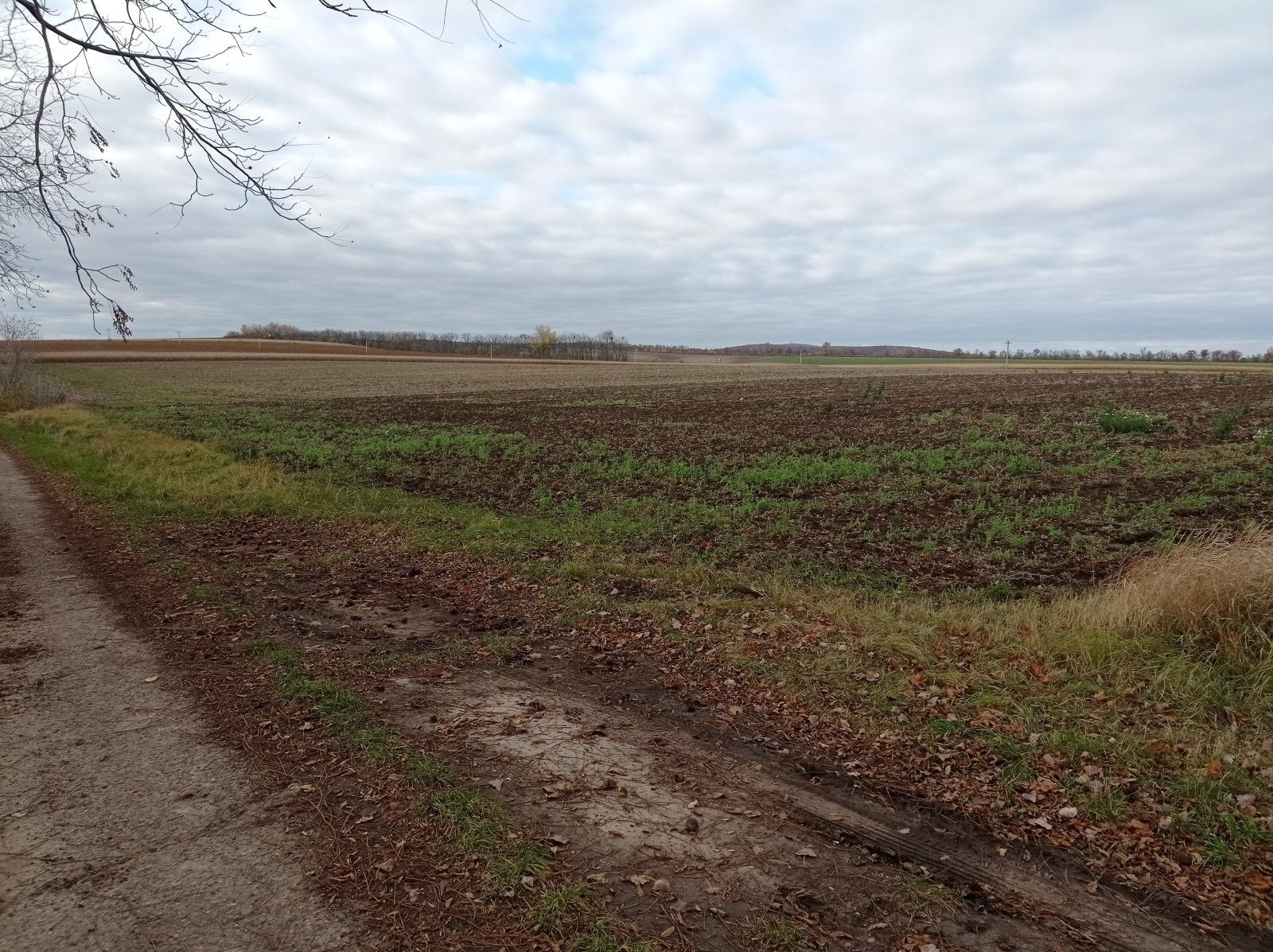 Ostatní, Sedlec, 25 m²