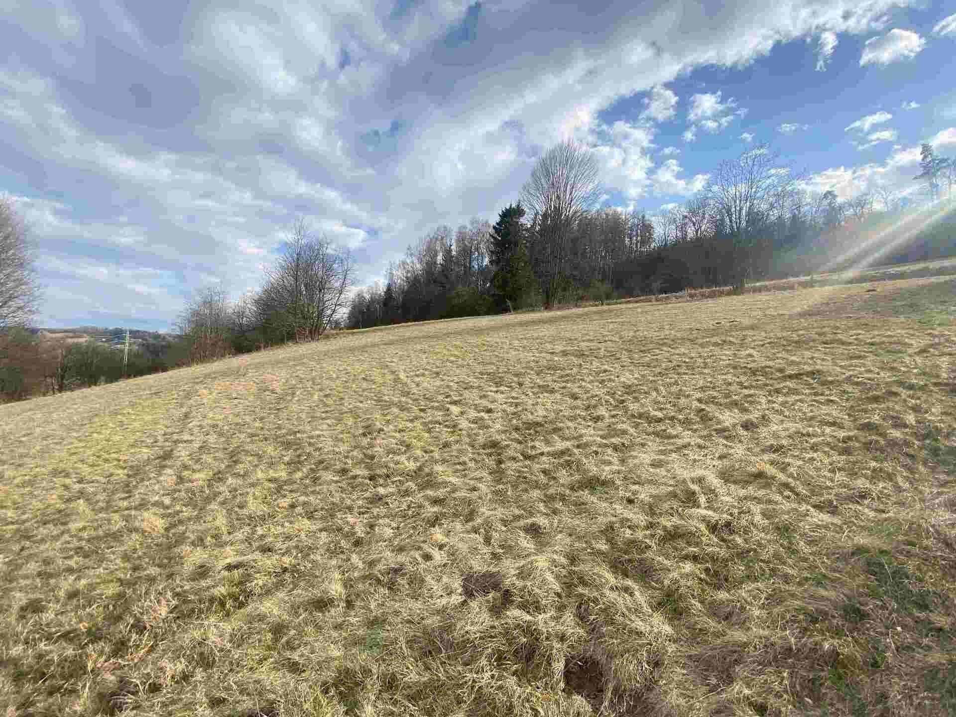 Prodej zemědělský pozemek - Semily, 9 517 m² - 5