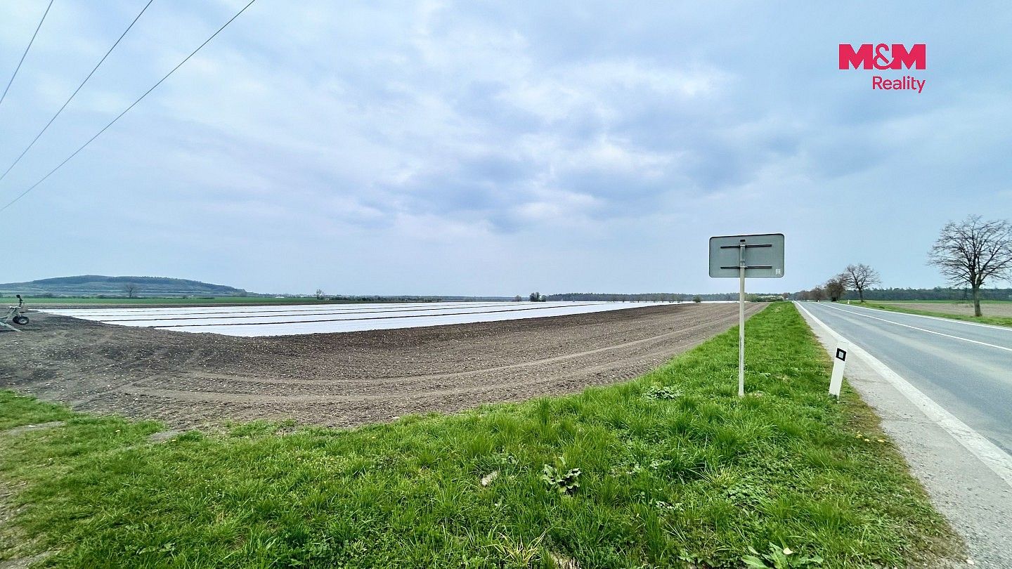 Zemědělské pozemky, Starý Vestec, okres Nymburk, Středočeský kraj - 2