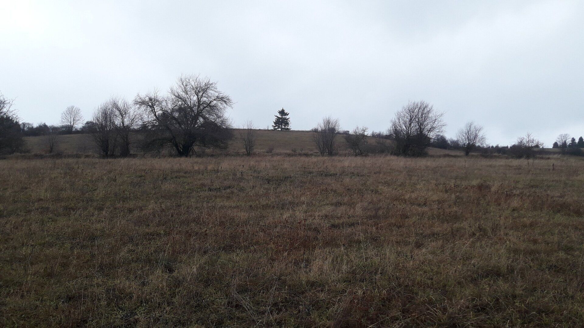 Zemědělský pozemek, 25 028 m²