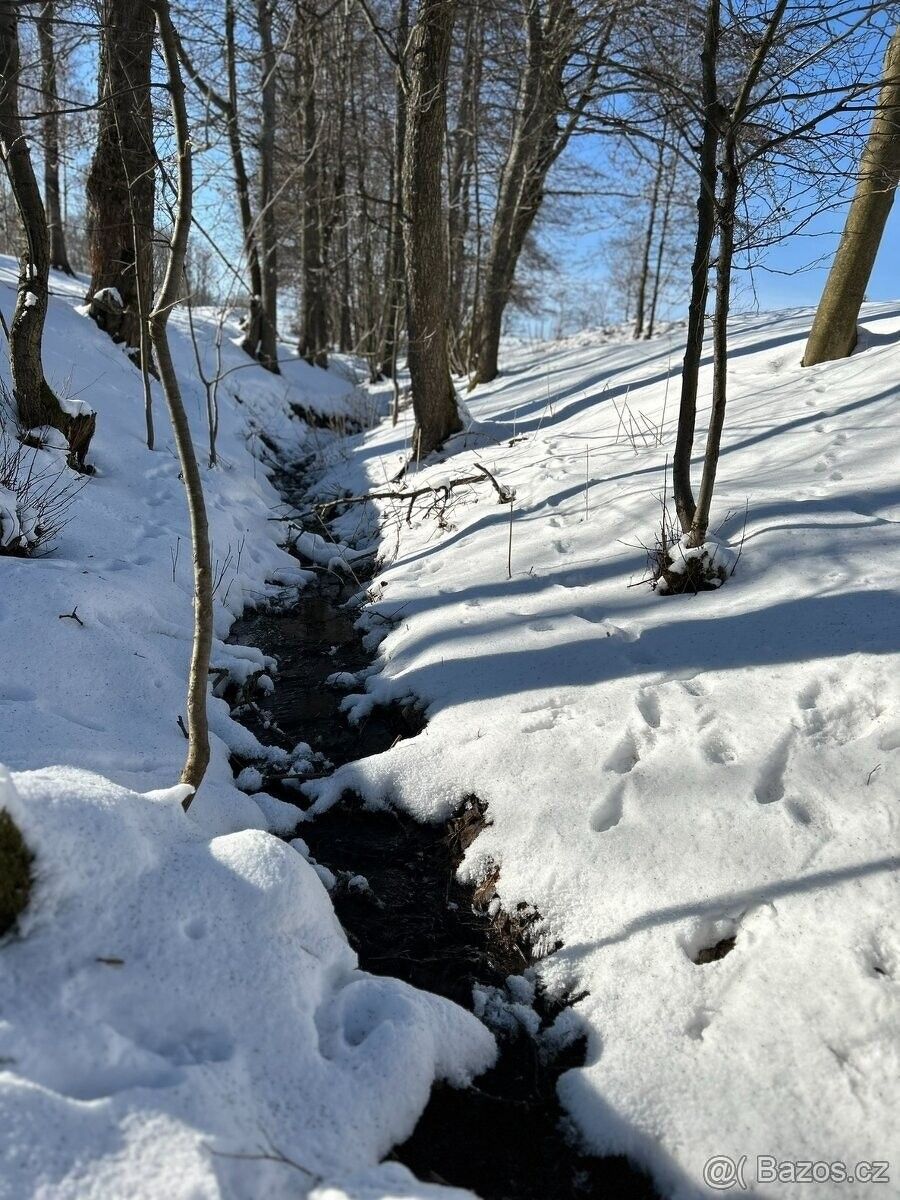 Prodej pozemek pro bydlení - Vysoké nad Jizerou, 512 11 - 5