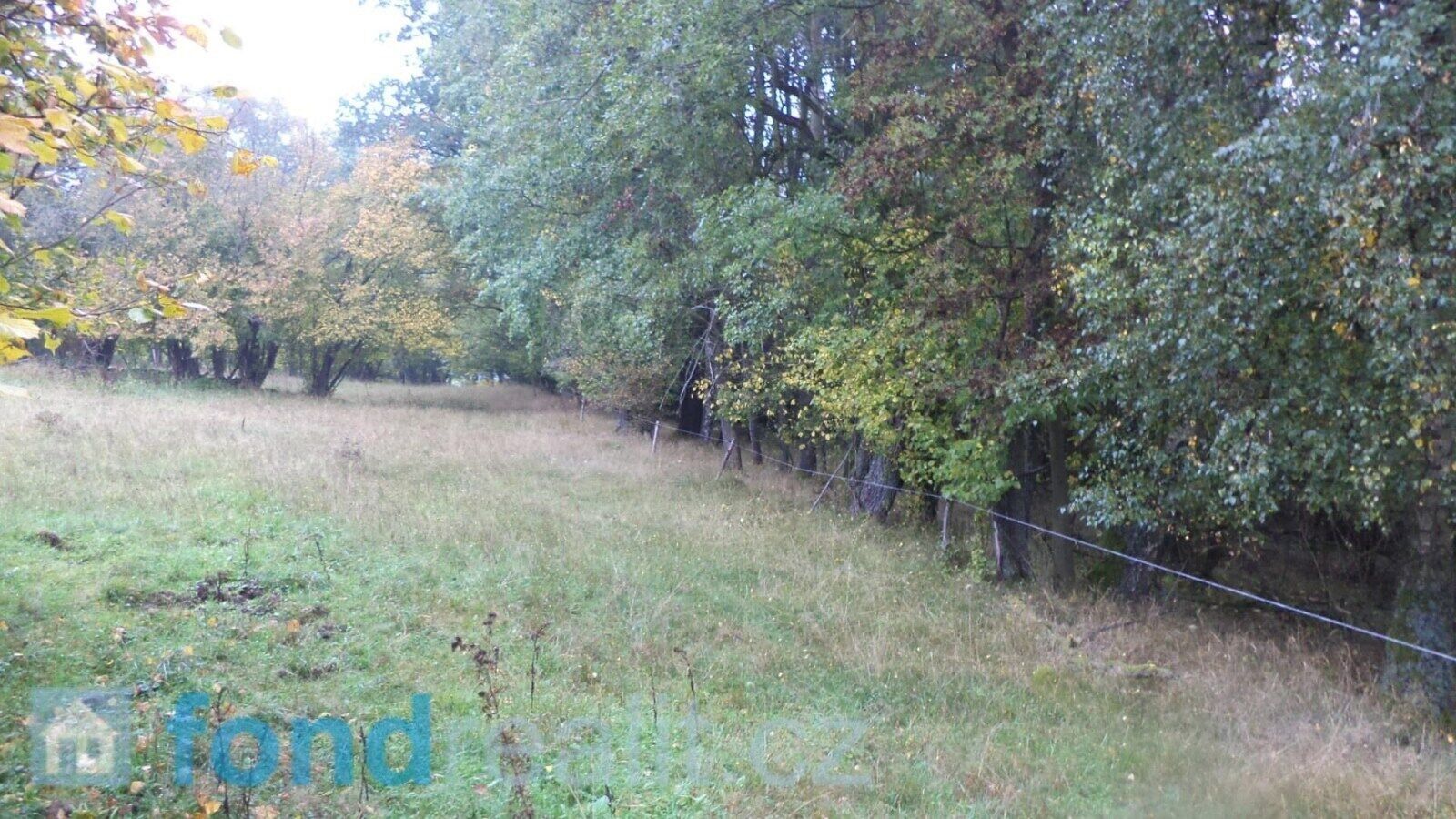 Zemědělský pozemek · 35 381 m² · Přimda - 4