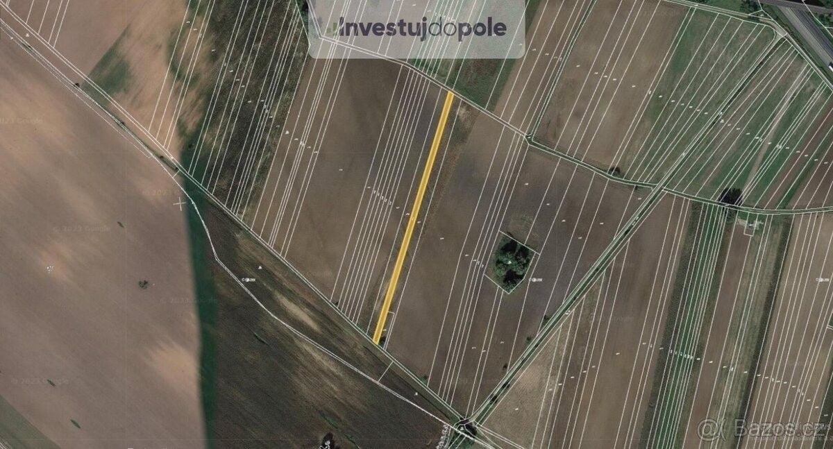 Prodej zemědělský pozemek - Kostice u Břeclavě, 691 52, 2 446 m²