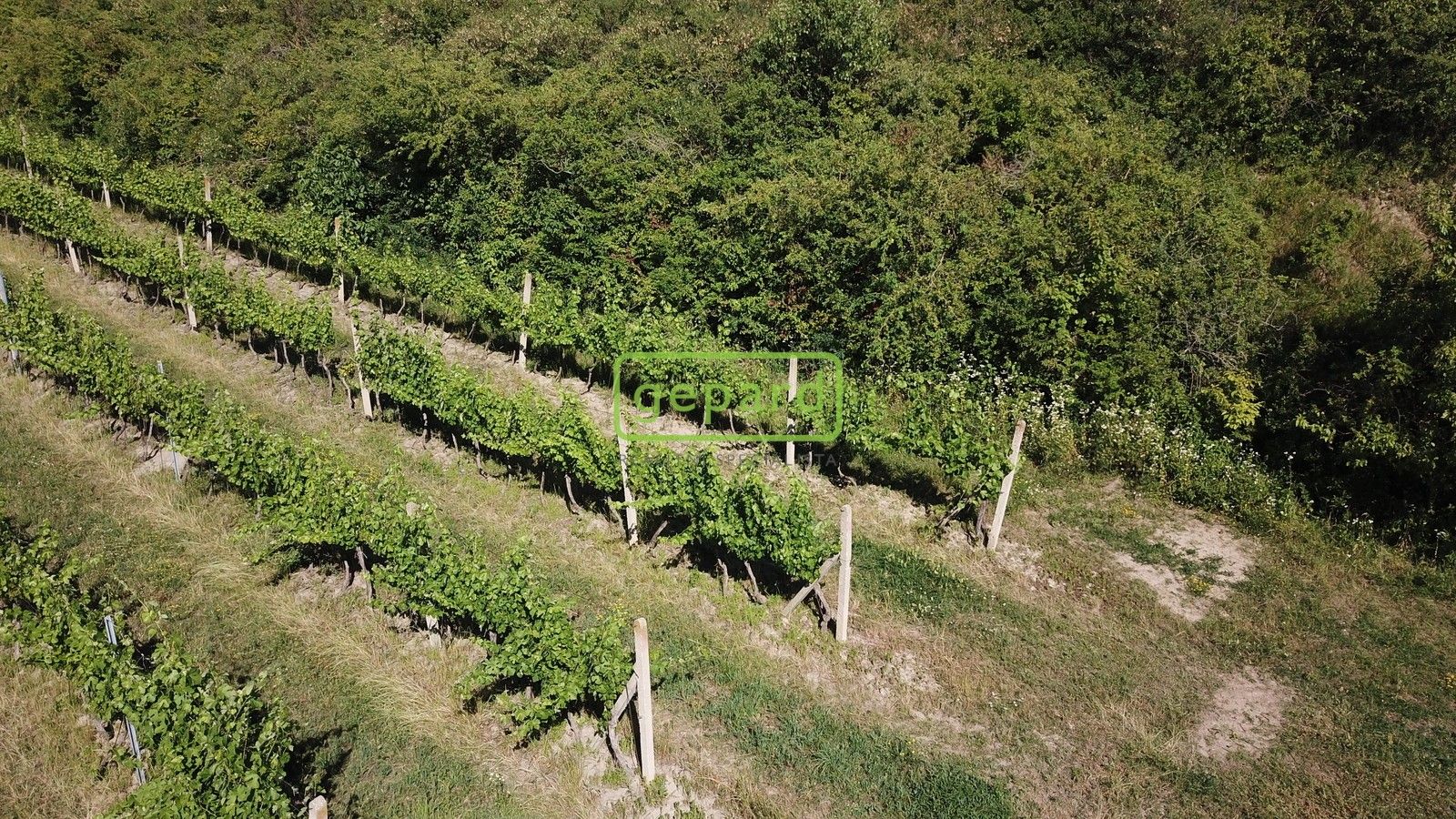Pozemek · 2 166 m² · Starovice - 3