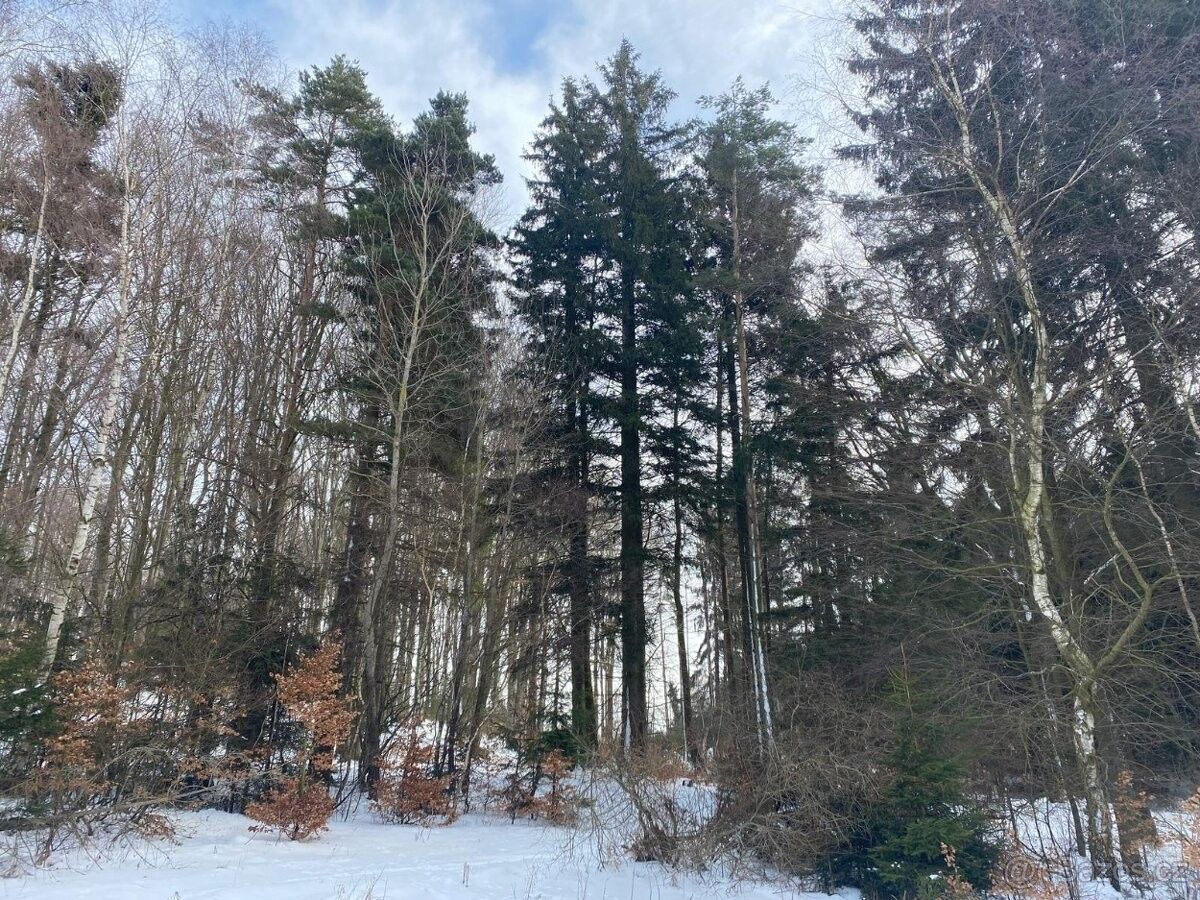 Prodej pozemek pro bydlení - Dačice, 380 01