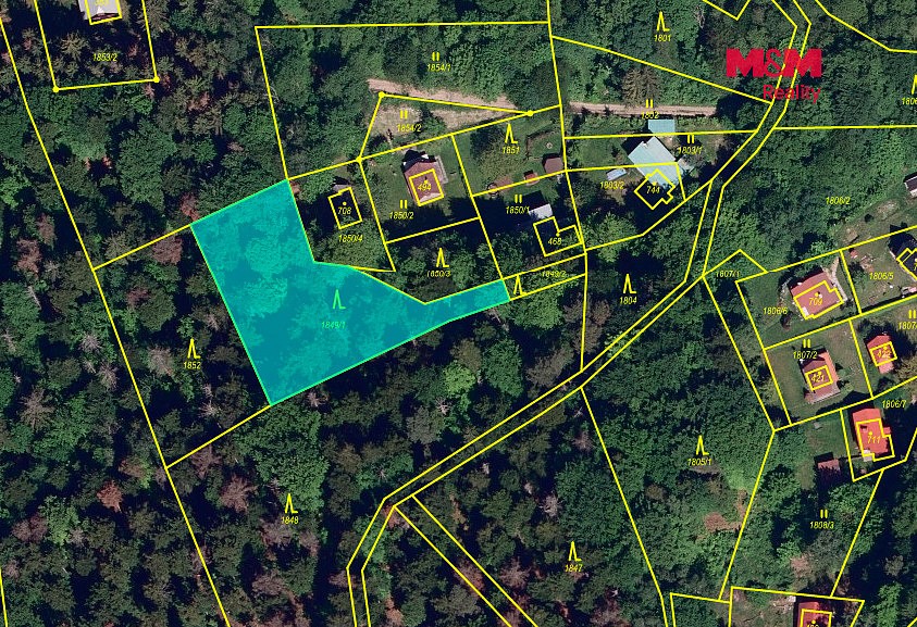 Les · Rusava, okres Kroměříž - 3