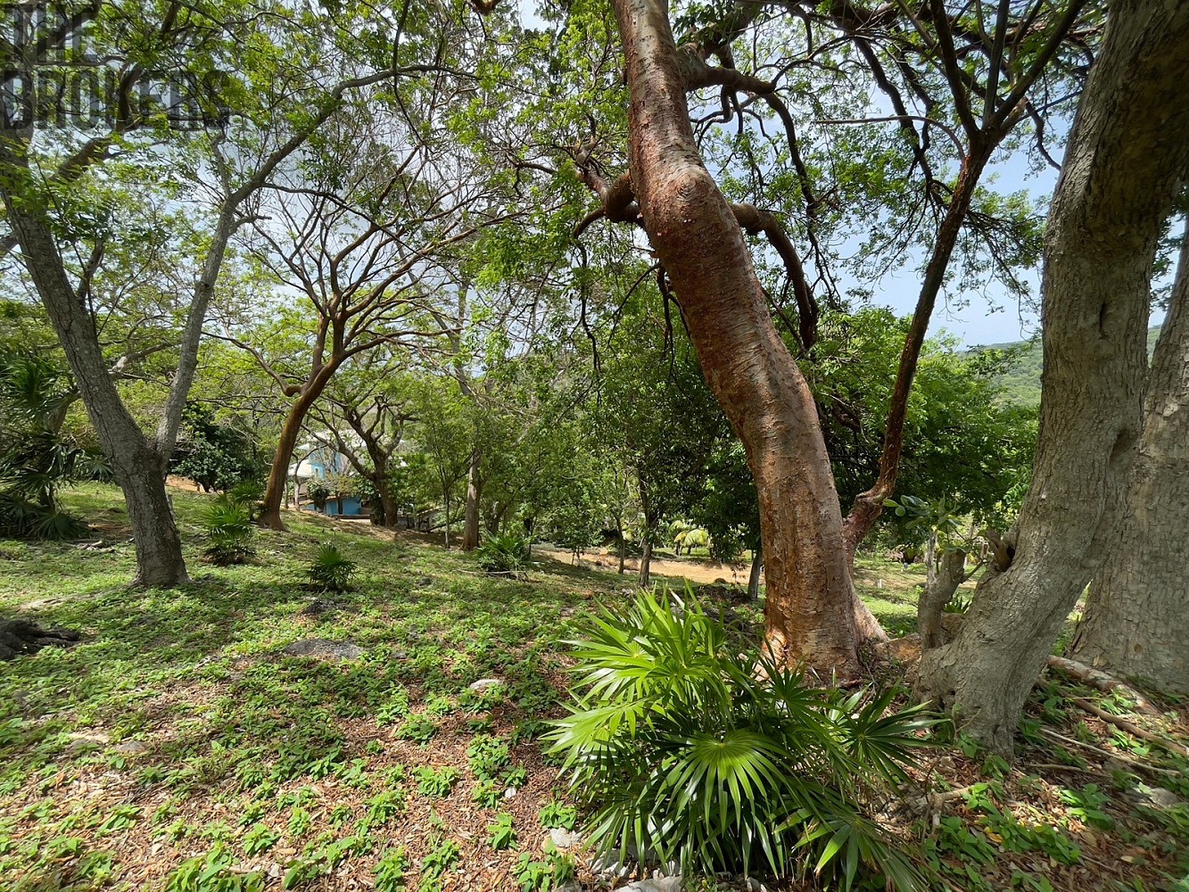 Pozemky pro bydlení, Coxen Hole, Roatán, Honduras - 1