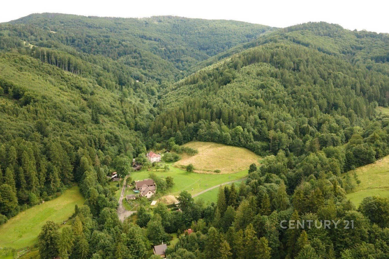 Prodej les - Nýdek - 5