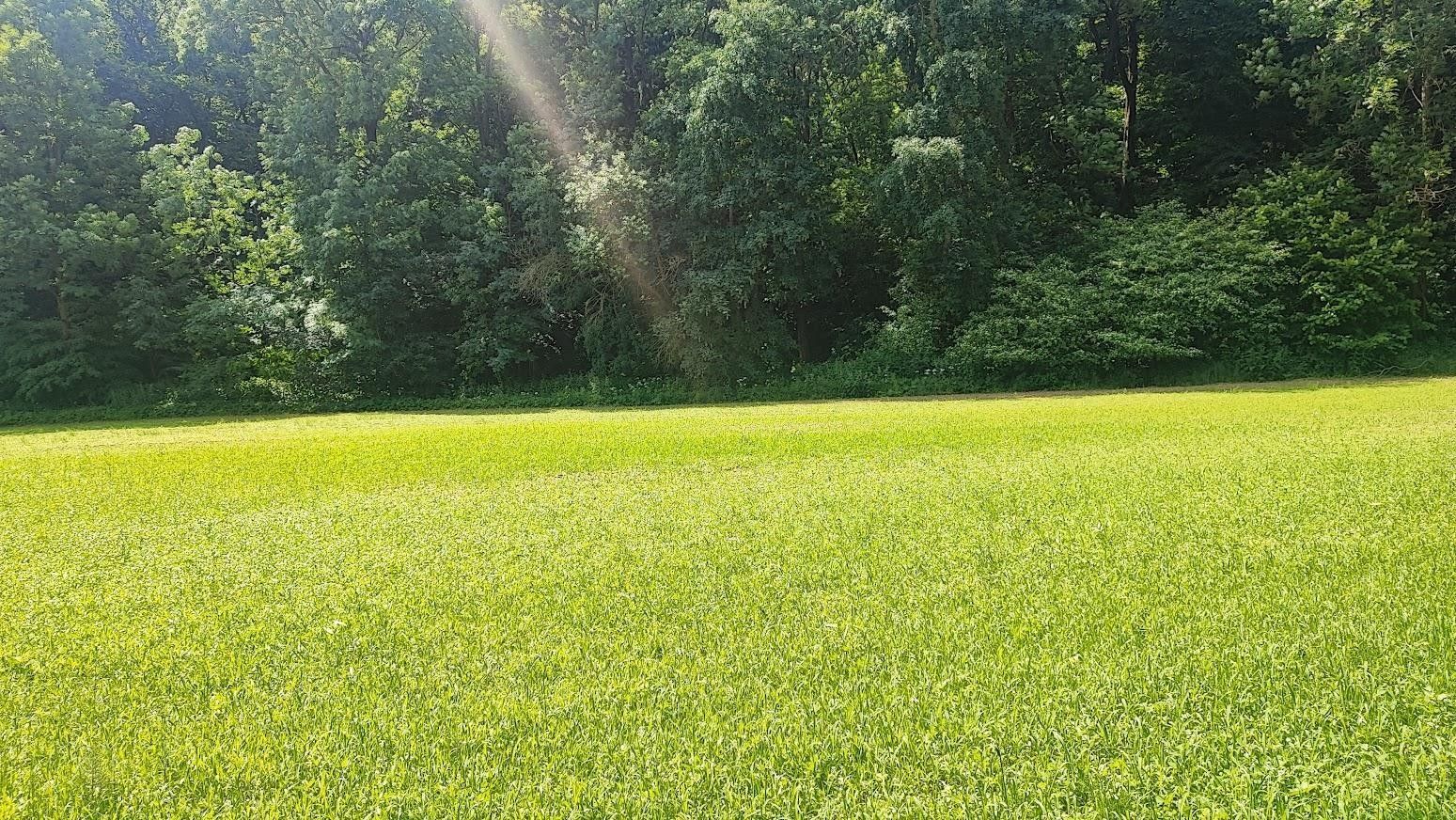 Pozemky pro bydlení, Opatovice, Vyškov, 670 m² - 2