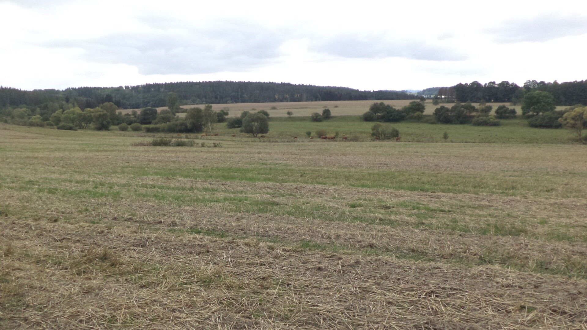 Zemědělské pozemky, Tachov, 842 m² - 2