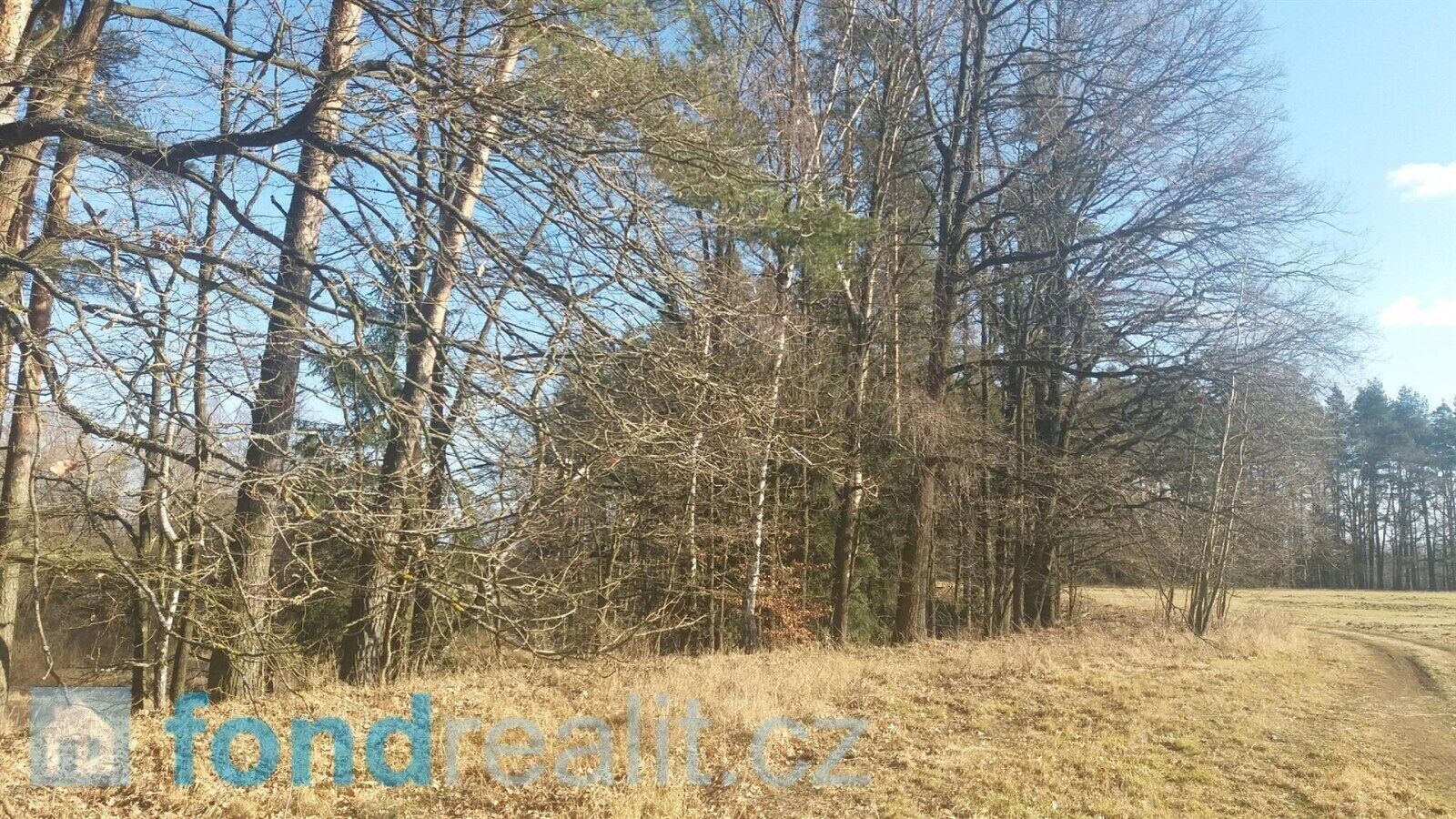 Pozemek · 10 115 m² · Nová Ves nad Lužnicí - 3