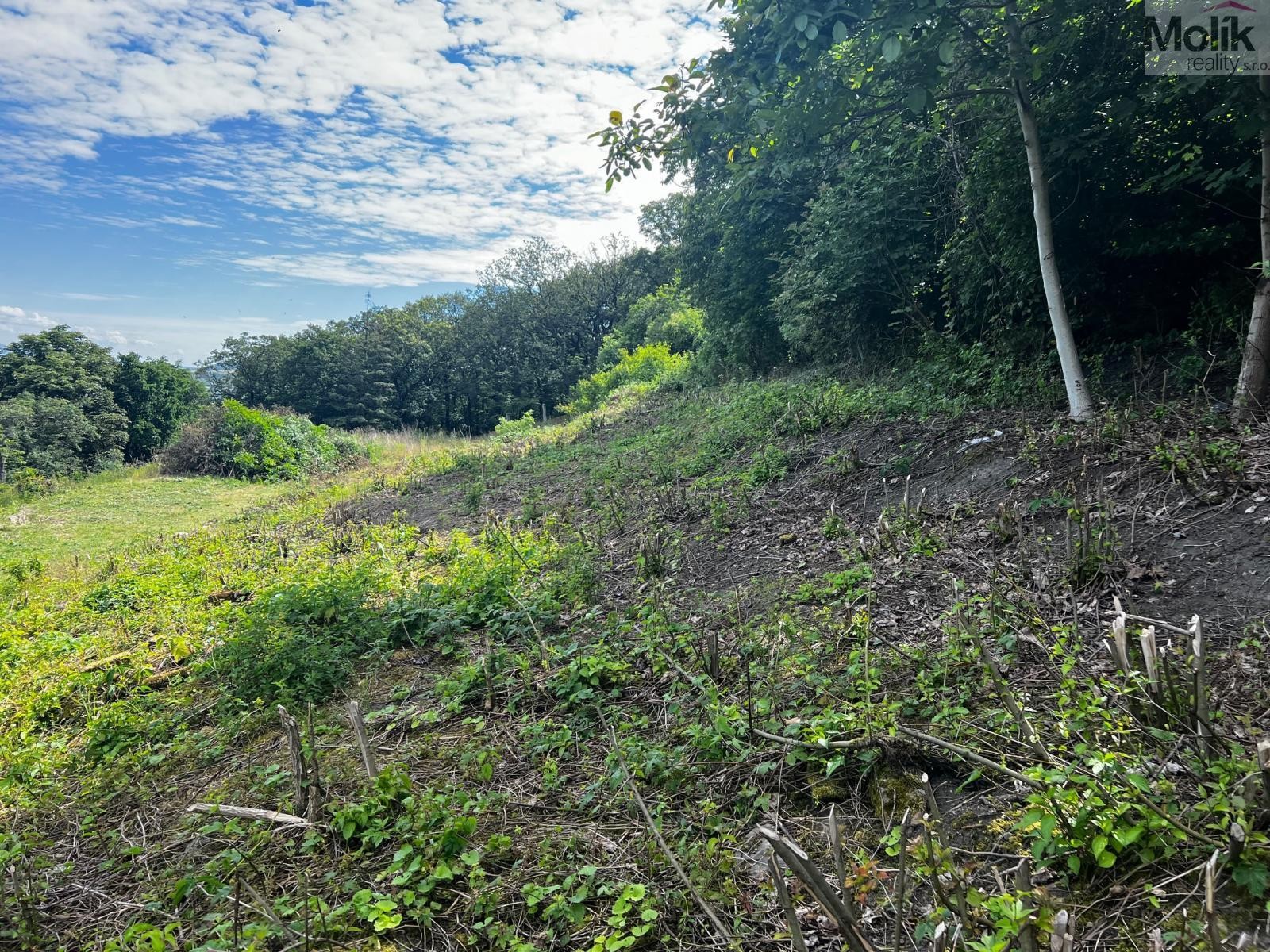 Prodej pozemek pro bydlení - Na Novém světě, Most, 1 463 m² - 5