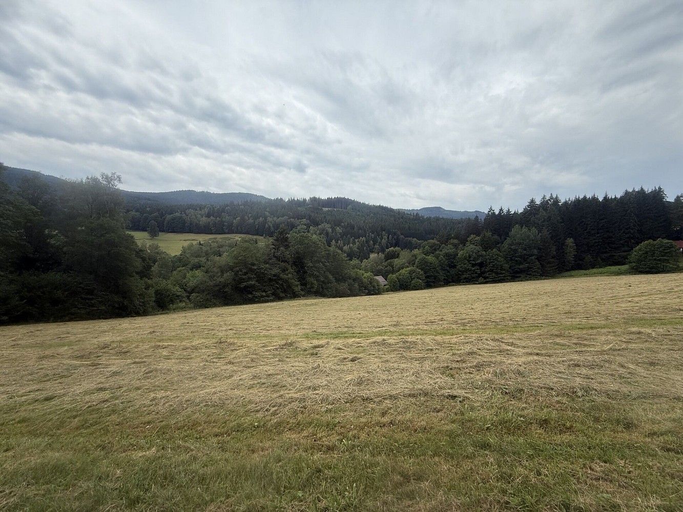 Louka · Hamry, okres Klatovy, Plzeňský kraj - 3