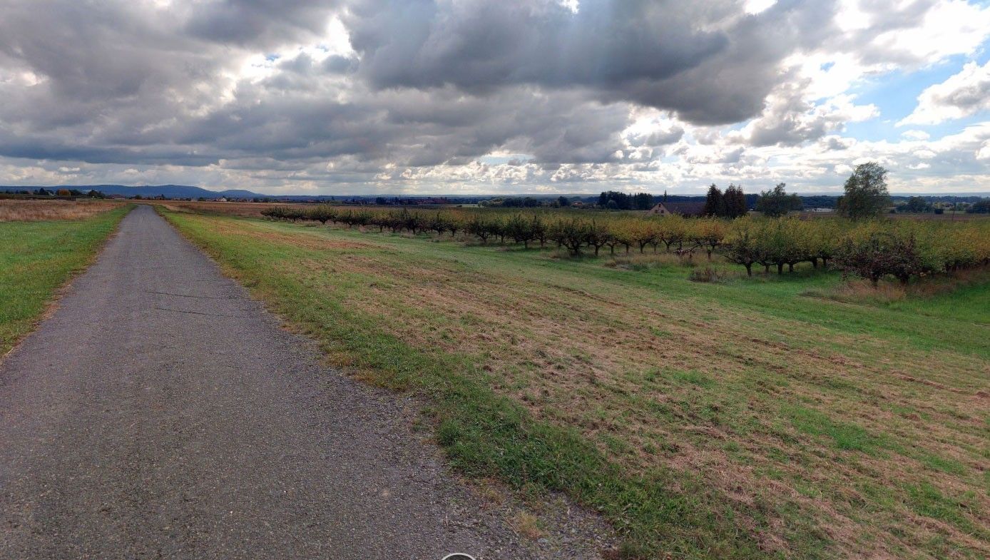 Zemědělské pozemky, Horušice, 10 366 m²