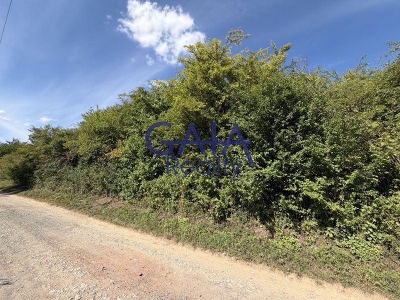 Zemědělský pozemek · 8 411 m² · Buchlovice - 3