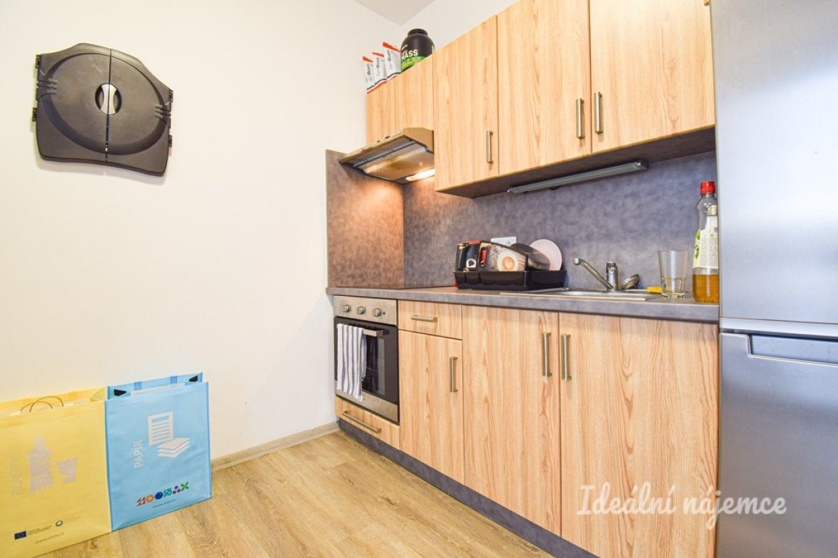 1+kk, Svitavská, Brno, 33 m²