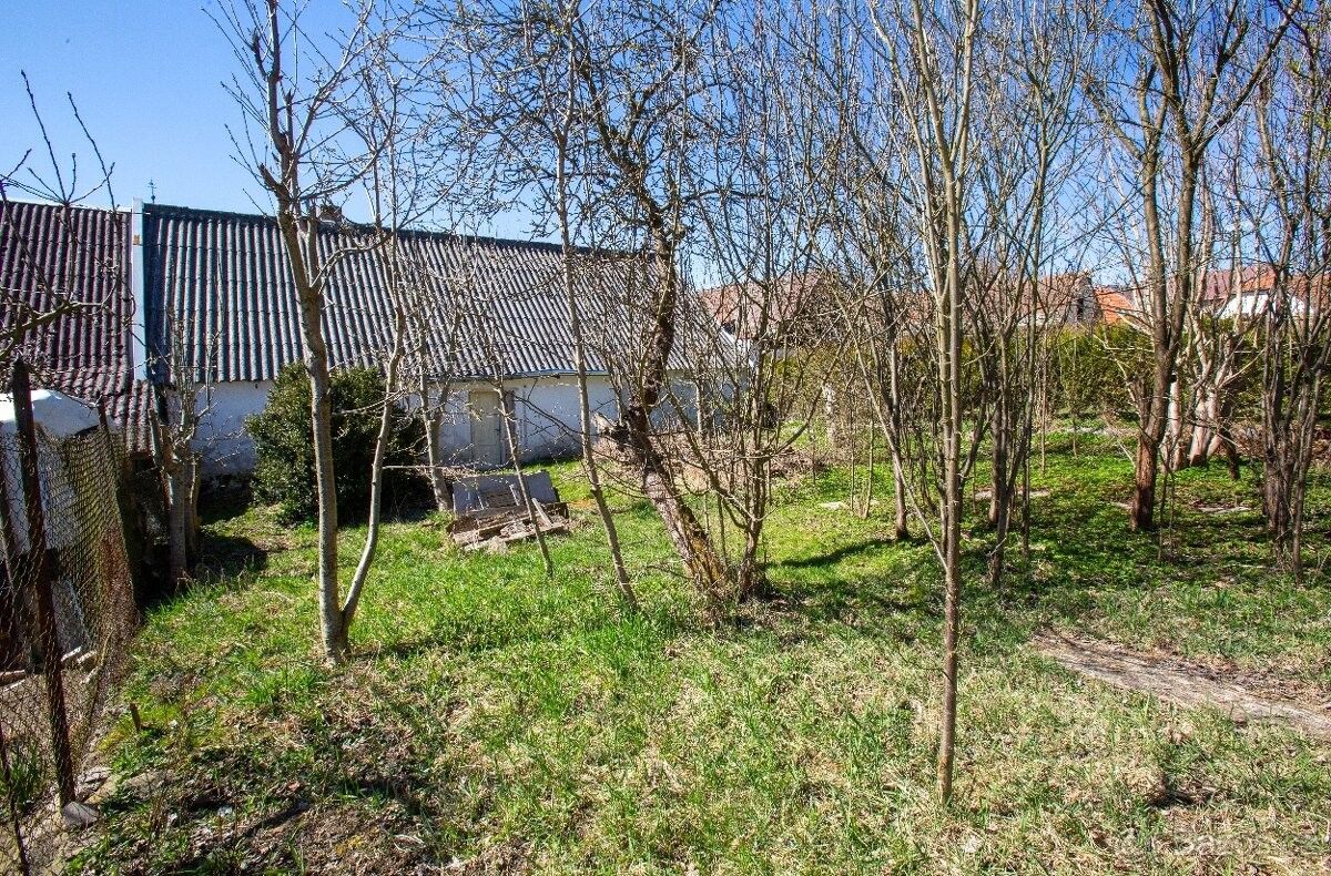 Rodinný dům · Černovice u Tábora, 394 94 - 3
