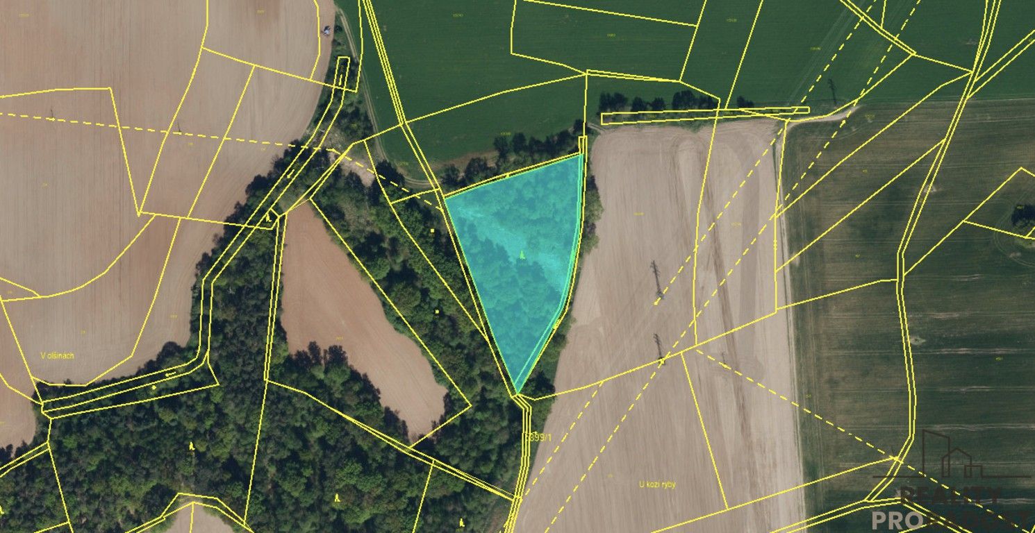 Prodej les - Lázně Bohdaneč, 7 m²