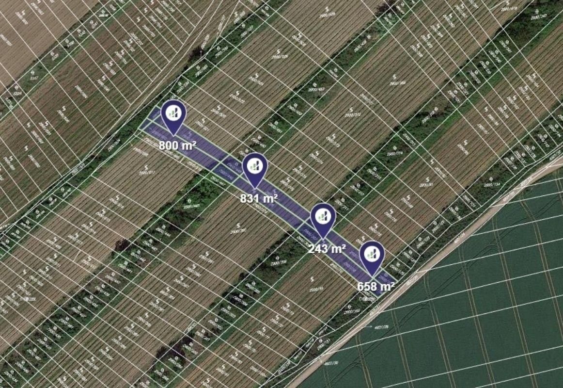 Prodej zemědělský pozemek - Čejkovice, 6 540 m²