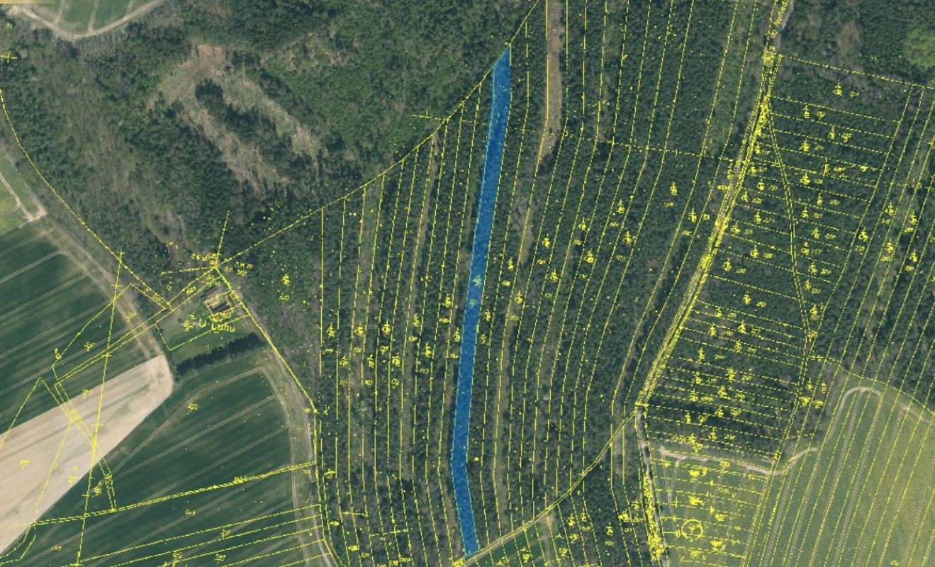 Prodej les - Mokrá, Vesce, 24 818 m² - 5