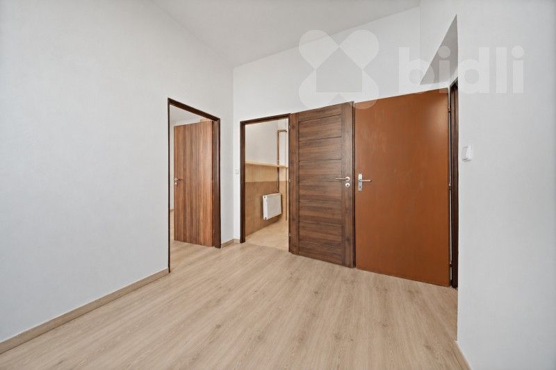 Pronájem byt 1+1 - J. E. Purkyně 1512, Nový Bydžov, 44 m² - 5