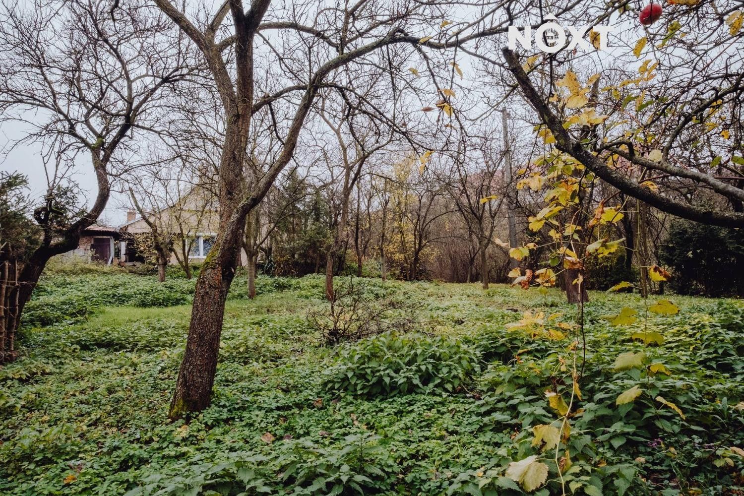 Prodej pozemek pro bydlení - Věteřov