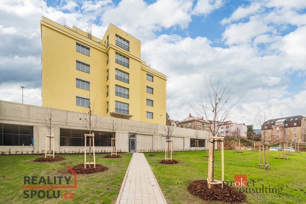 Pronájem byt - Liberec, 460 10