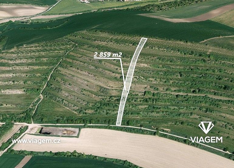 Zemědělské pozemky, Morkůvky, okres Břeclav, Jihomoravský kraj - 1
