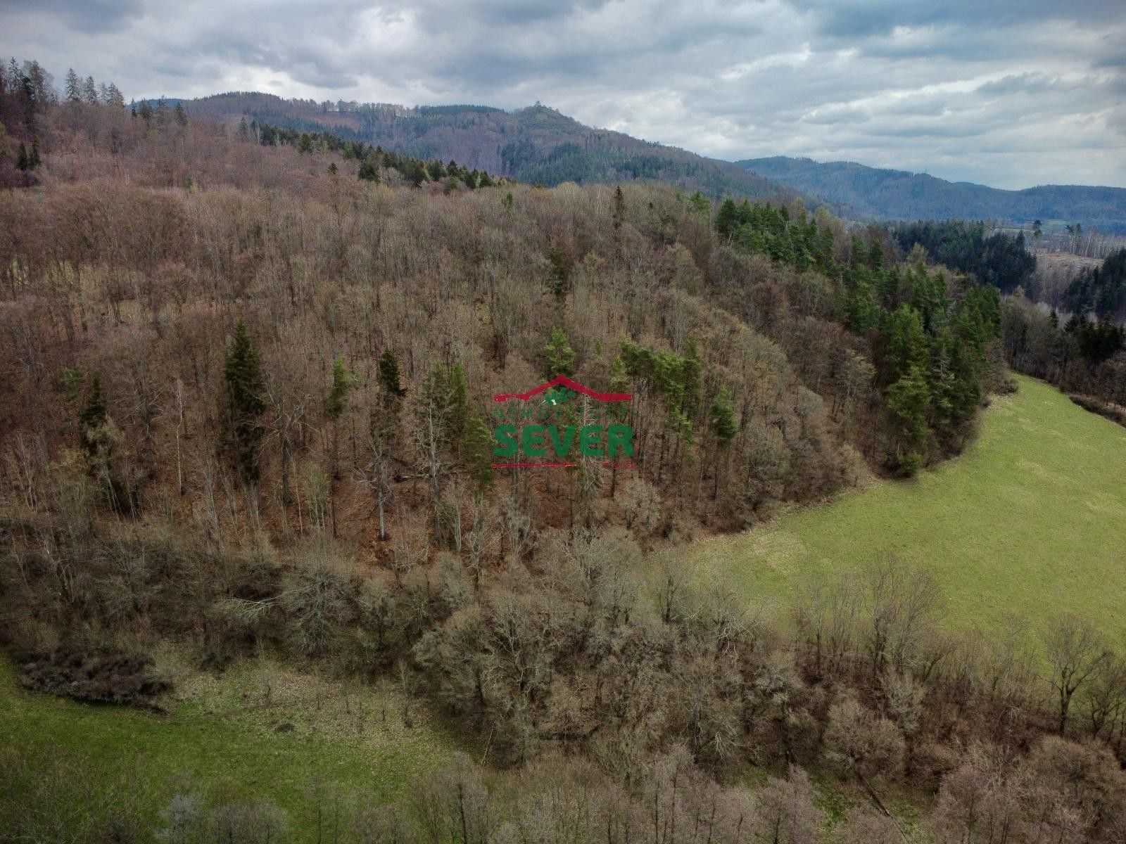 Prodej les - Boč, Stráž nad Ohří, 36 852 m²