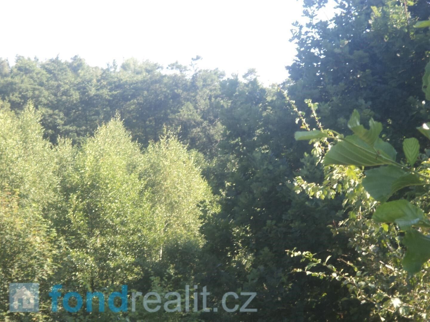 Ostatní, Dětmarovice, 2 629 m² - 2