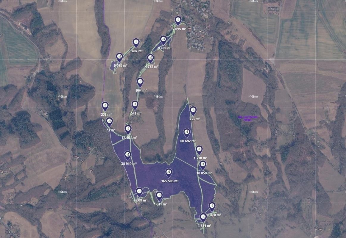 Lesy, Lípa, 4 500 m²