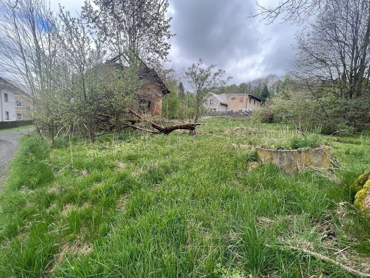 Prodej rodinný dům - Mikulášovice, 407 79 - 5