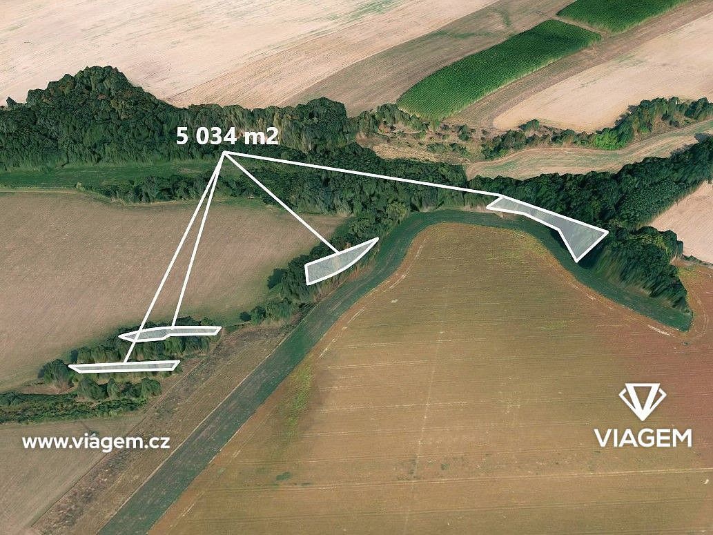 Lesy, Suchdol nad Odrou, okres Nový Jičín, Moravskoslezský kraj
