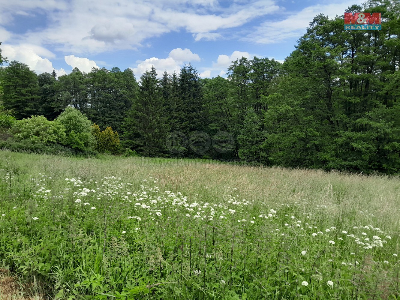 Louka · Oselce - Kotouň, okres Plzeň-Jih - 3
