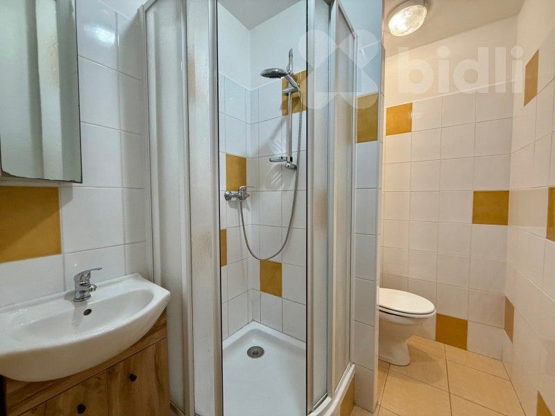 Pronájem byt 2+kk - J. Opletala, České Budějovice, 39 m²