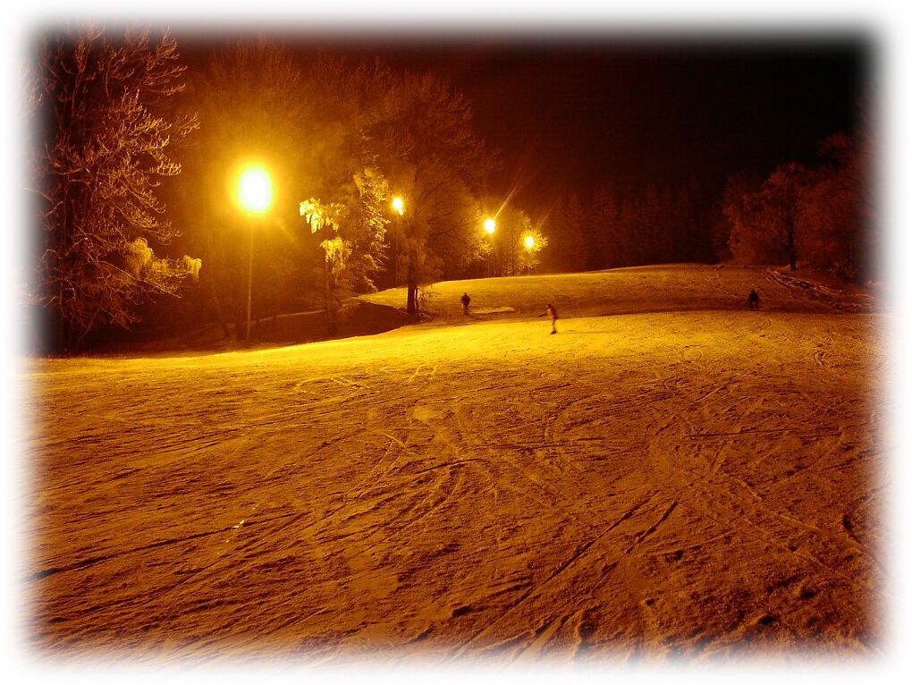 Komerční nemovitost · 215 391 m² · Lipová-lázně - 4