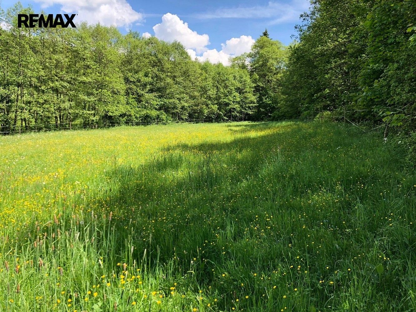 Louka · Strašín, okres Klatovy, Plzeňský kraj - 3
