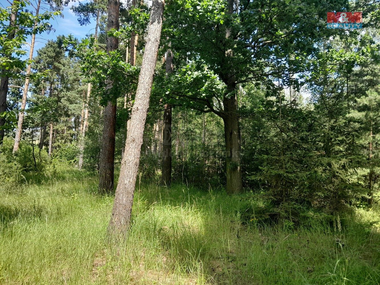Lesy, Putim, okres Písek, Jihočeský kraj - 1