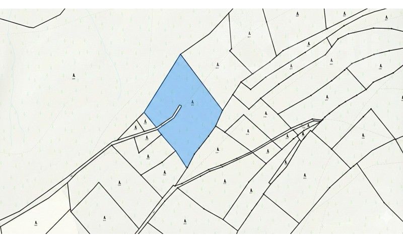 Prodej les - Bohdalovice, Velké Hamry