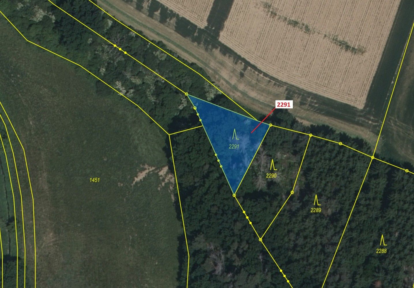 Lesy, Chotěbudice, okres Třebíč, Kraj Vysočina - 2