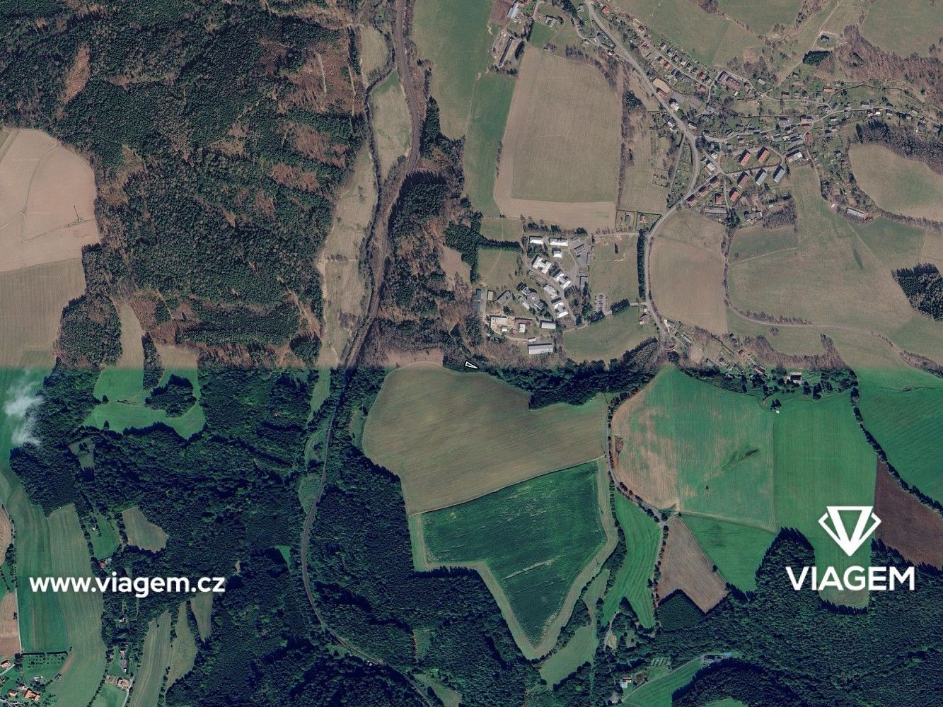 Les · Těchonín, okres Ústí nad Orlicí, Pardubický kraj - 3